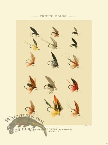 Favorite Flies 14 Trout